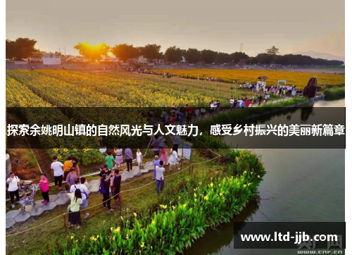 探索余姚明山镇的自然风光与人文魅力，感受乡村振兴的美丽新篇章